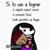 🤪✨Flork-varios 🤩😗 20