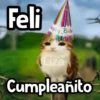 Feli Happy Birth Liza Cumpleañito