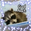 Animalitos para la noche 🌚🌙 13