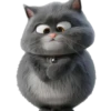 Gatitos gorditos💞1🇵🇪Clásica 17