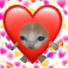 💞💖 AMOR 10 💖💞 17