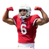 GarrettMVP - Arizona Cardinals 2025 7
