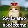 Liza Soy tu amo obedeceme