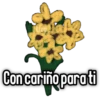🌻Flores Amarillas🌻 9