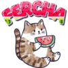 Nombres🍉Clásica 15