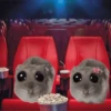 🐀 Rata Triste 🐀🐀 Meme 🐀 15
