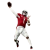 GarrettMVP - Arizona Cardinals 2025 8