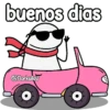 Flork en auto 😎✨ 14