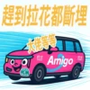 AMIGO 9