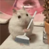 🐹 HAMSTERS MOODCITOS 🐹 10