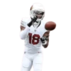 GarrettMVP - Arizona Cardinals 2025 9