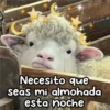 Animalitos para la noche 🌚🌙 17