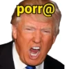 Donald Trump 13