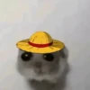 Rata Triste-Memes🐭🥹✨ 13