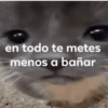 Memes pal chat🤎 11