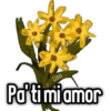 🌻Flores Amarillas🌻 11