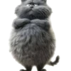 Gatitos gorditos💞1🇵🇪Clásica 18