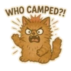 Ray The Cat 12