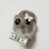 Rata Triste-Memes🐭🥹✨ 14