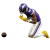 GarrettMVP - Minnesota Vikings 2025 20