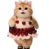 Gatitos gorditos💞1🇵🇪Clásica 19