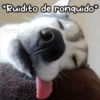 Animalitos para la noche 🌚🌙 19