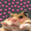 💞💖 AMOR 10 💖💞 20