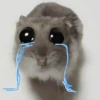 🐀 Rata Triste 🐀🐀 Meme 🐀 17