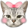 Silver tigrer 🐱 22