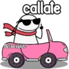 Flork en auto 😎✨ 17