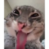 tiktok stickers pt.2 26
