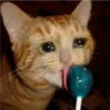 Cats [01] 23