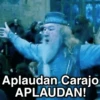 🛝🤸🏻 MEMES 14 🤸🏻‍♀️🛝 24