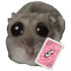 Rata triste Hámster Memes 🐭🐹 16