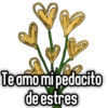 🌻Flores Amarillas🌻 12