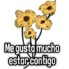 🌻Flores Amarillas🌻 13