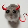 🐀 Rata Triste 🐀🐀 Meme 🐀 19