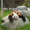 Animalitos para la noche 🌚🌙 25