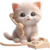Gatito divertido🐱💞1🇵🇪Clásica 25