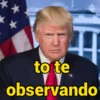 Donald Trump 17