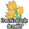 🌻Flores Amarillas🌻 14
