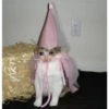 Cats [01] 26