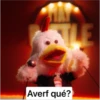 STLE Averf qué?