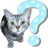 Silver tigrer 🐱 27