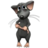 rata triste 😶‍🌫️ rata tímida 💖 14