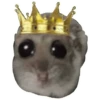 Rata triste Hámster Memes 🐭🐹 17