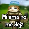 WOLF Liza Mi ama no me deja