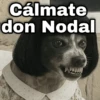 Angela y nodal 3 🤡memes ✨ 26