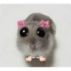 TikTok Stickers 25