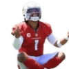 GarrettMVP - Arizona Cardinals 2025 14